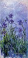 Iris Lilas Claude Monet